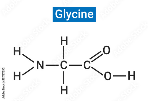 Glycine is an amino acid that has a single hydrogen atom as its side chain