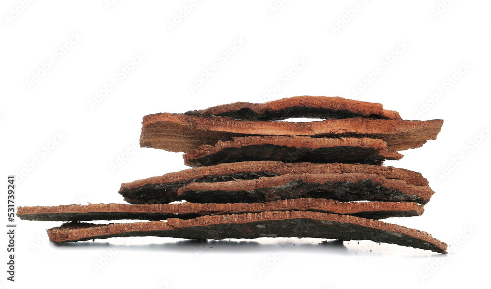 Bark of beech tree, pile isolated on white Bark of beech tree, pile isolated on white