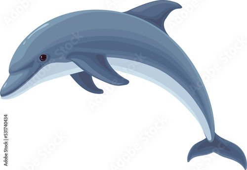 Dolphin.Sea life.Sea animals, illustration element.