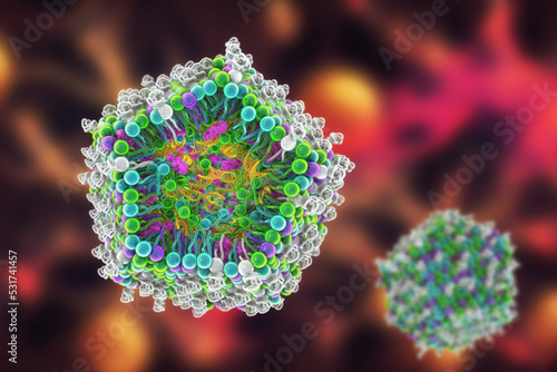 Lipid nanoparticle mRNA vaccine