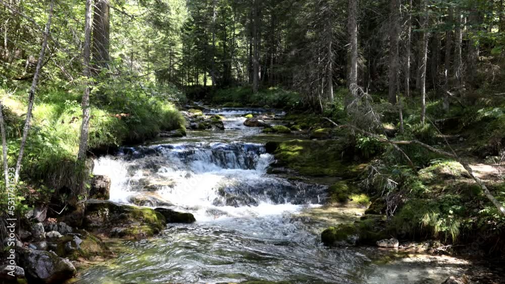 Rocky stream in the middle of the forest in the Italian Alps. Rocky stream in the middle of the forest in the Italian Alps.