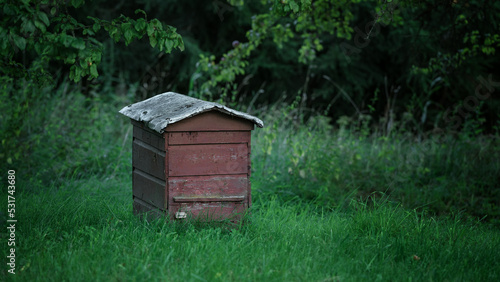 Old rustic wooden beehive standing on green grass at garden in tree shadow. Beekeeping and apiculture concept.
