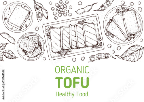 Tofu top view frame. Hand drawn vector illustration. Tofu sketch. Asian food. Soybean sketch. Tofu cooking. Vegan food. Vintage design template. Product design. Great for packaging, recipe book, menu.