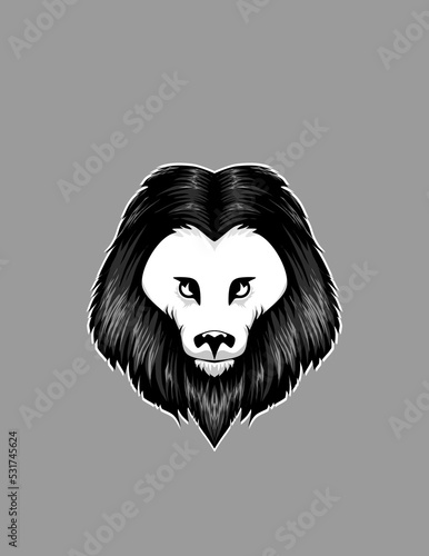 illustration of a face