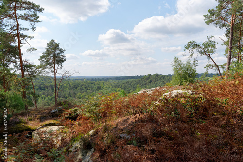 Restant du long Rocher view in Fontainebleau forest