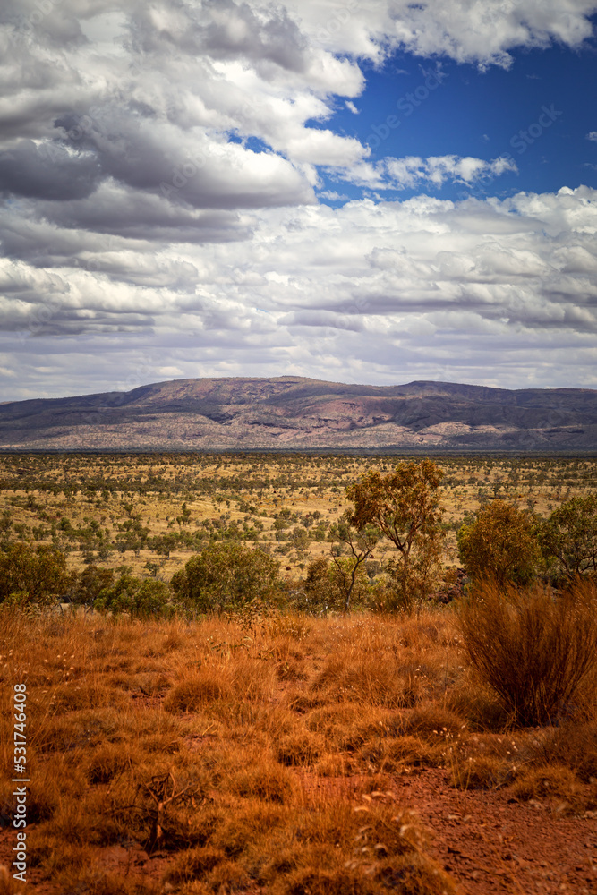 The savannah landscape of the desert with the mountain range in the background and a cloudy sky in the Karijini National Park in Western Australia
The savannah landscape of the desert with the mountain range in the background and a cloudy sky in the Karijini National Park in Western Australia