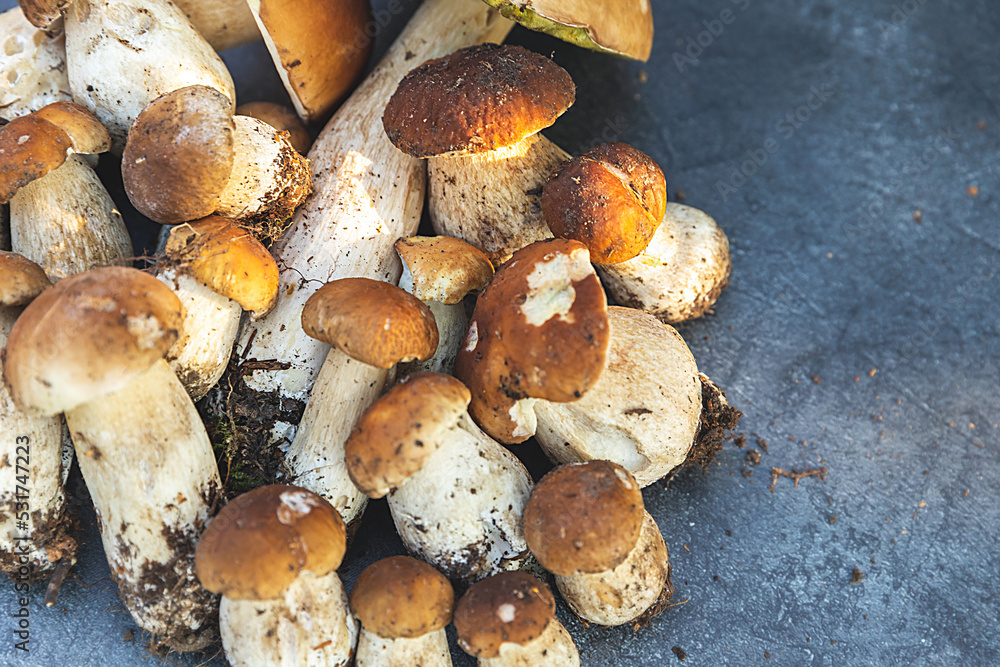 Fototapeta premium Autumn fall composition. Raw edible mushrooms Penny Bun on dark black stone shale background. Ceps over gray table. Cooking delicious organic mushroom gourmet food. Flat lay top view