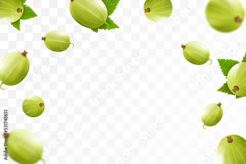 Gooseberry seamless background. Flying gooseberry with green leaf on transparent background. Gooseberry falling from different angles. Focused and blurry objects. 3D realistic vector.