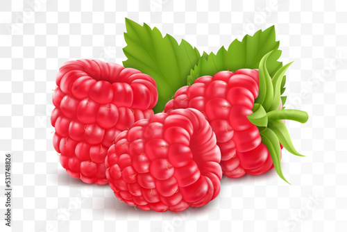 Raspberries isolated on transparent background. Natural summer fruit, realistic 3d vector illustration. Ingredient for juices, jams, yogurts, compotes. Mockup for package design