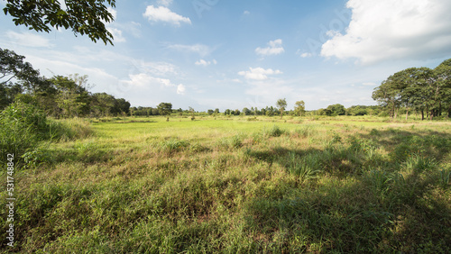 rural area in Amphoe Kabin Buri  Thailand.