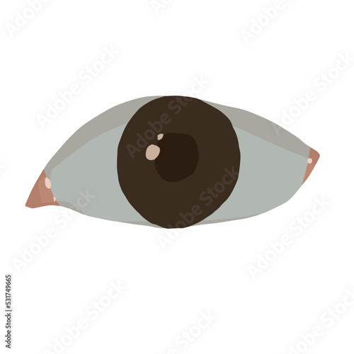 シンプルな目のベクターイラスト
