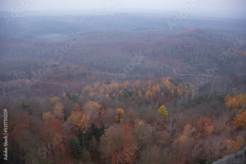 Autumn landscape of forest, view from above in Bohemian Switzerland National Park, Czech Republic, Czechia.
