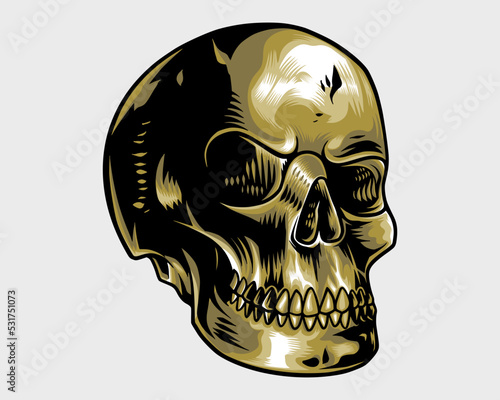 detailed cool golden skull illustration