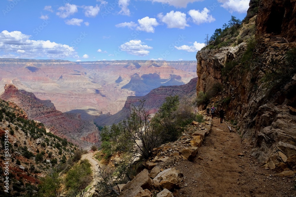Fototapeta premium grand canyon national park