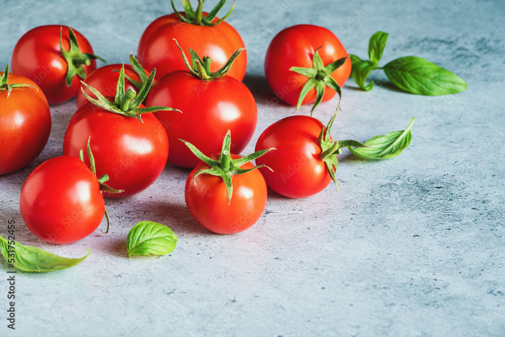 Tomatoes with sweet basil leaves on gray concrete background, copy space Tomatoes with sweet basil leaves on gray concrete background, copy space
