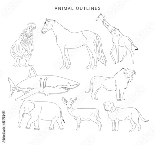 Vector Animals Outline Collection