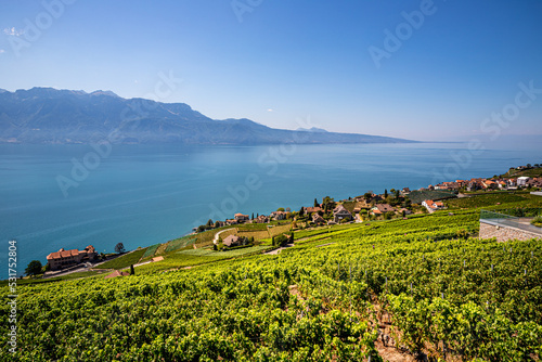 Le Vignoble de Lavaux classé au patrimoine mondial de l'humanité en Suisse