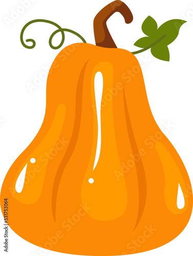 Pumpkin Autumn Plant. Vector illustration