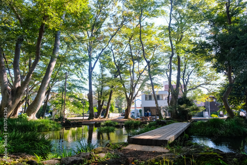 静岡県三島市 白滝公園 静岡県三島市 白滝公園