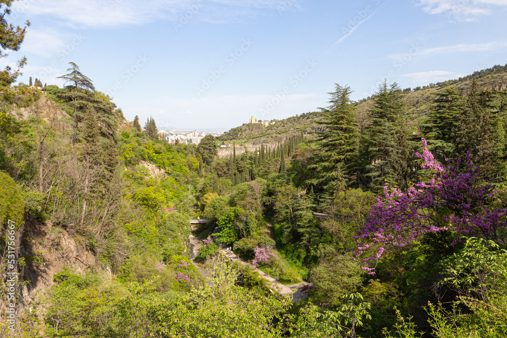 Aerial view of the Tbilisi Botanical Garden on a sunny day. Georgia country Aerial view of the Tbilisi Botanical Garden on a sunny day. Georgia country