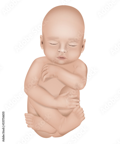 Realistic vector illustration of a newborn little baby in white background. Sleeping baby