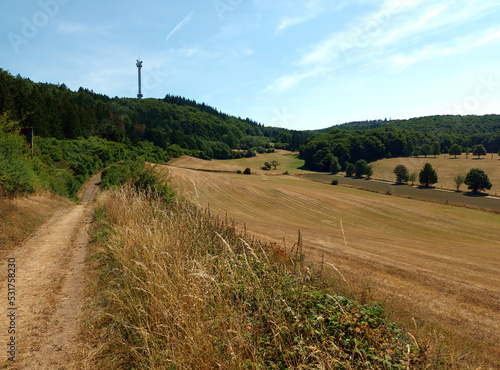 Eifellandschaft mit Blick auf den Sendeturm auf dem Berg Gänsehals bei Rieden im Landkreis Mayen-Koblenz, Rheinland-Pfalz. photo