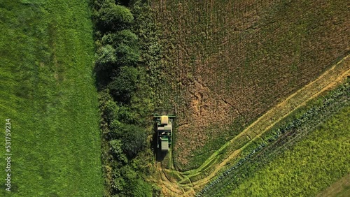 Industry and agriculture concept. Aerial view of combine harvester collecting cereal grain during sunny summer day. Drone flight over harvester. Harvesting crops in the countryside