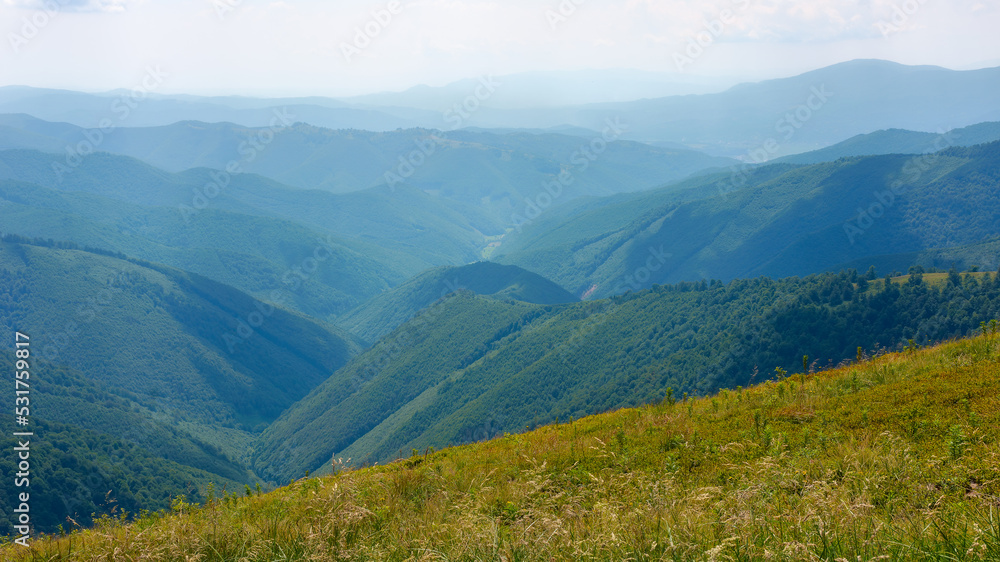 summer landscape in mountains. view in to the distant green valley. grassy meadows and forested hills. sunny weather