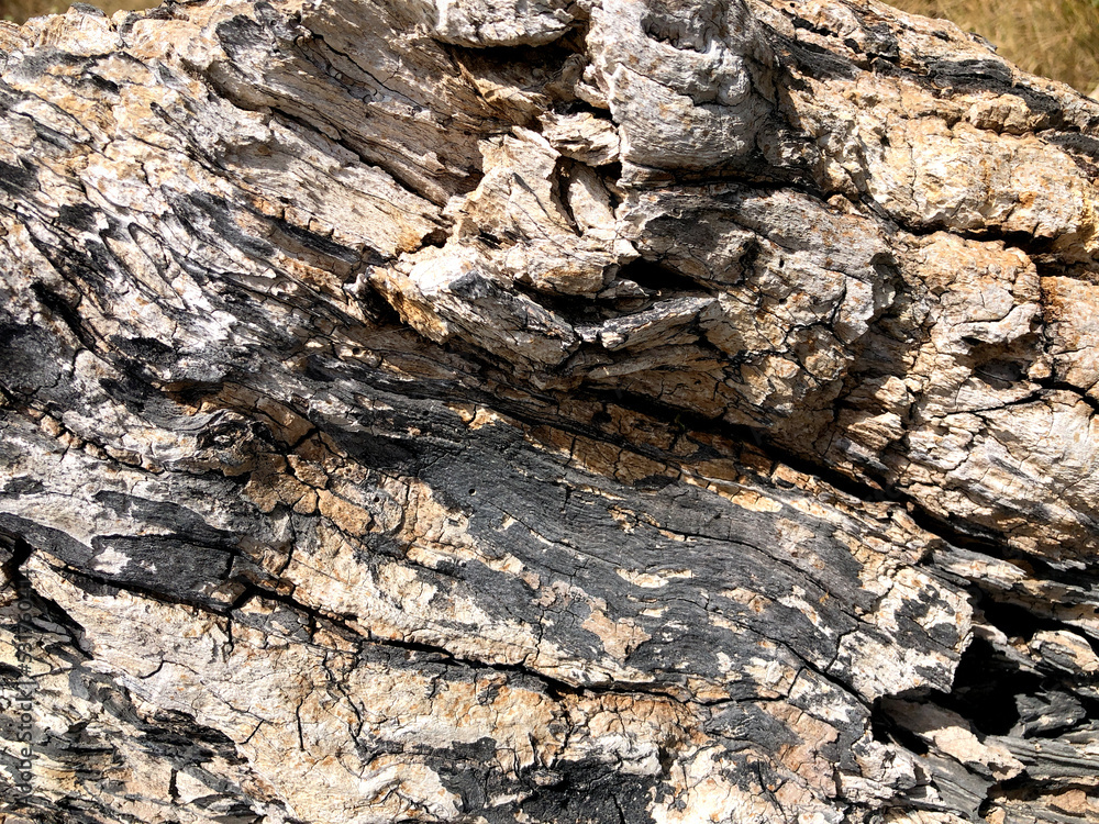 Wooden structure, texture, rough surface, background Wooden structure, texture, rough surface, background