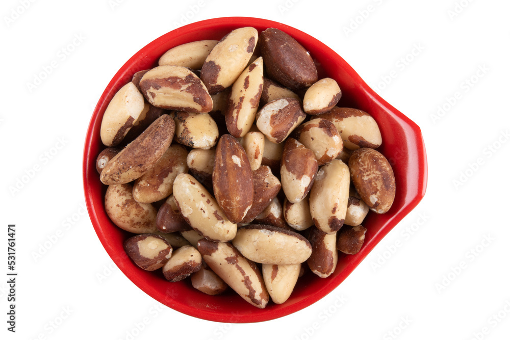 Brazil nut. Typical Christmas party food. png transparent background Brazil nut. Typical Christmas party food. png transparent background