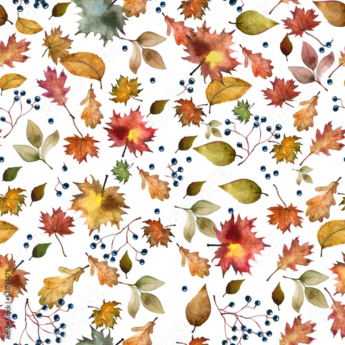 Watercolor autumn seamless pattern, leaves and plants.