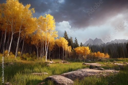 This is a 3D illustration of pando aspen grove in Utah, Clonal Colony. photo