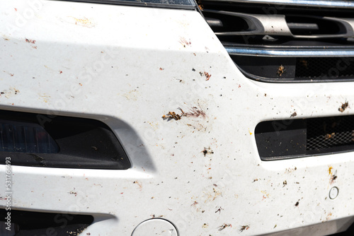a close photo of white car, shot after a long-distance trip. all body parts are covered with blots of broken insects. Photo of the car before washing