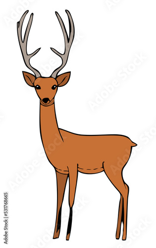 Wild deer portrait vector illustration