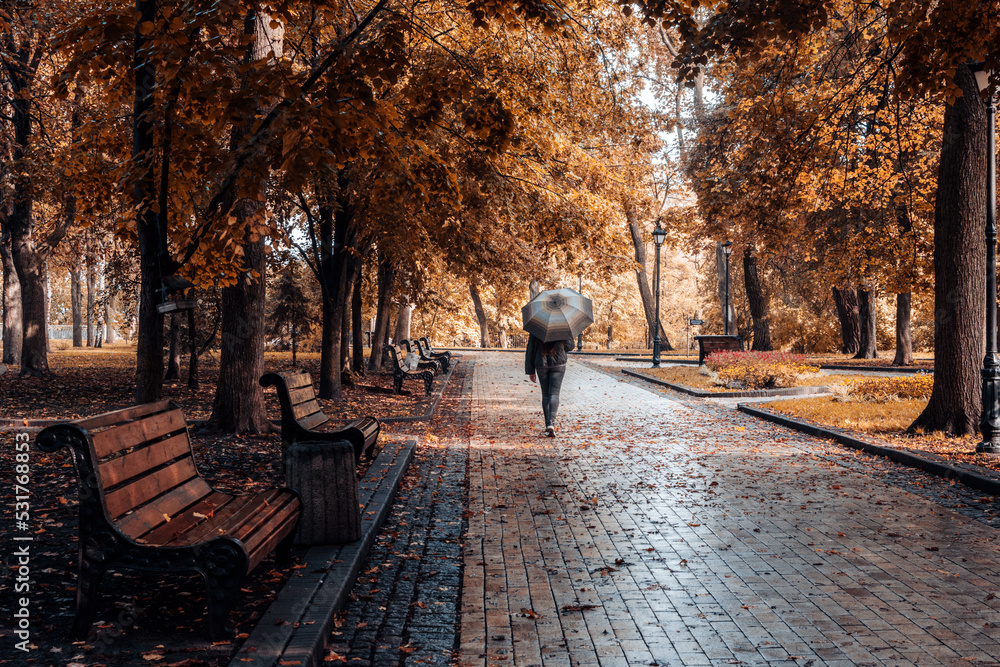 Autumn nature landscape. Footpath in the park Autumn nature landscape. Footpath in the park