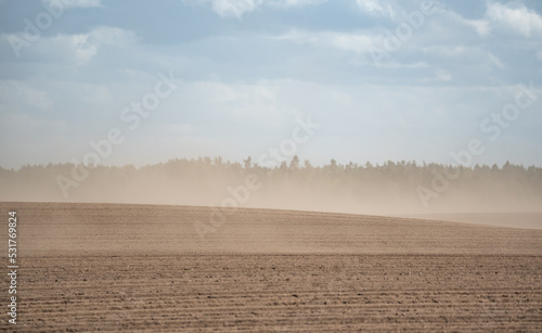 Sandstorm over farmland. Silence and wind blowing a cloud of dust. The impact of drought on crops and agriculture in Europe.