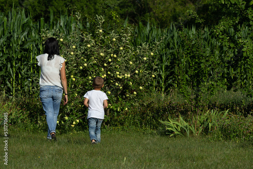 Proper nutrition, Mom and son go to the apple tree, walk in the garden, walk to the fruit tree , proper nutrition,