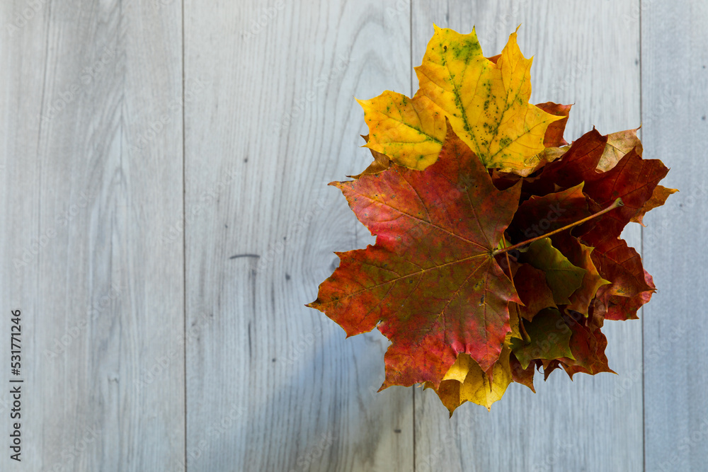 Obraz premium A bunch of colorful, dried autumn leaves.