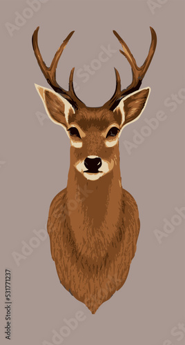 Wild deer portrait vector illustration