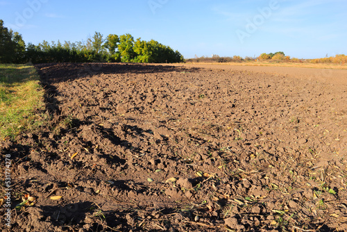 Agricultural field before sowing in sunny day
