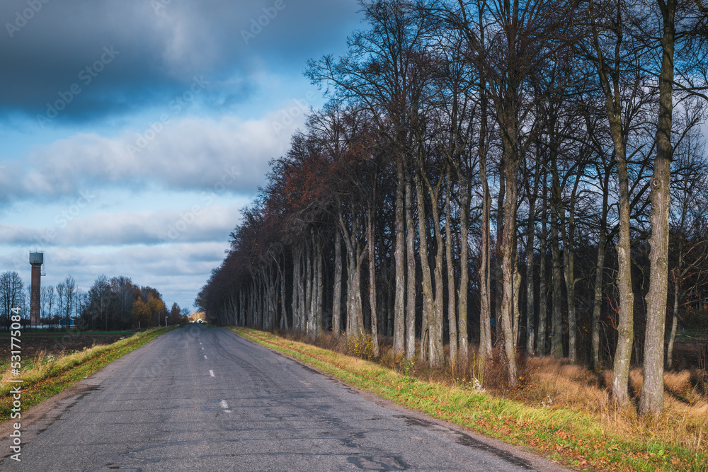 Old asphalt road along beautiful gloomy trees. Old asphalt road along beautiful gloomy trees.