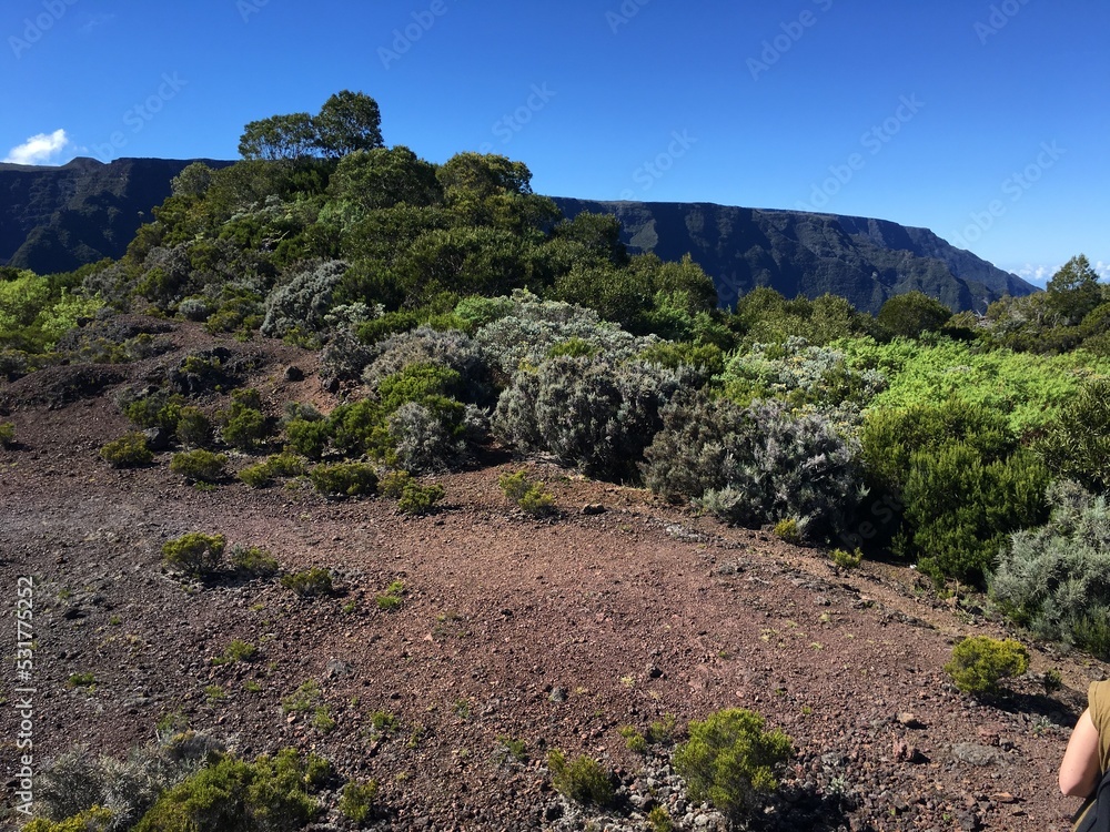 paysage ile de la Réunion