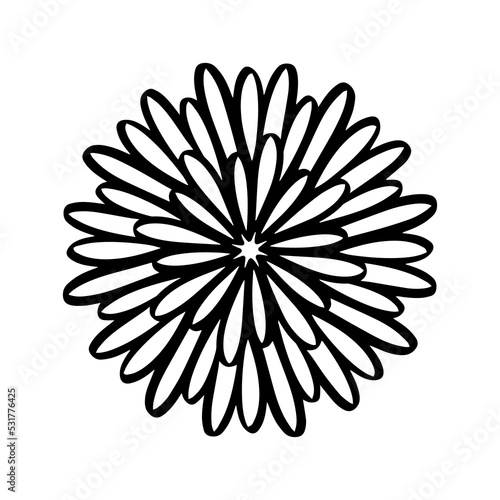 Symmetrical Aster Flower In Hand Drawn Cartoon Doodle Style Isolated on a White Background. Outline Sketch  Print  Graphic Icon  Logo  Floral Decorative Element for Postcards Design  Nature Patterns.