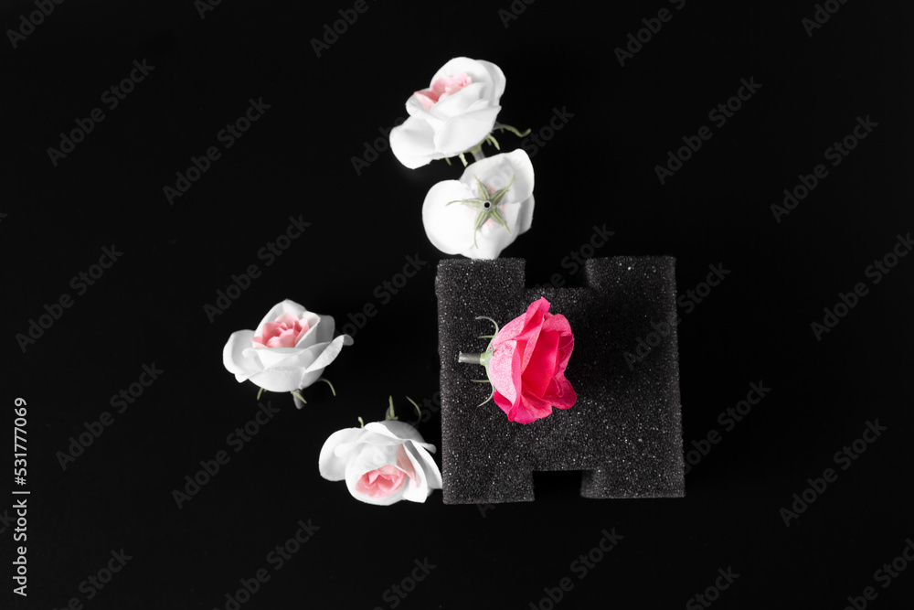 still life black background and roses still life black background and roses