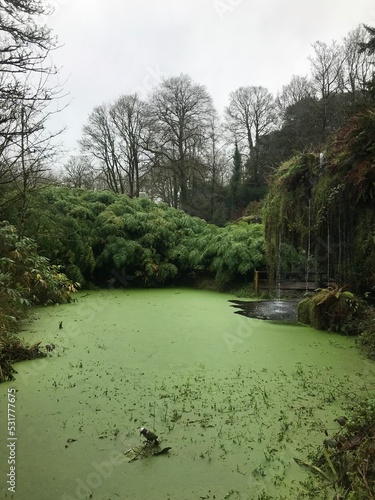 фотографія green lake