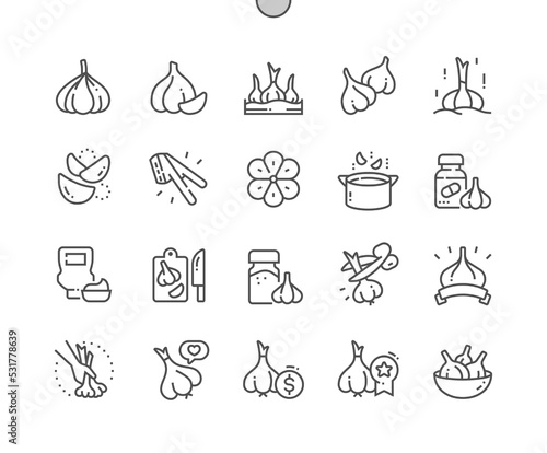 Garlic. Cooking ingredient. Nature vegetable organic food nutrition. Food shop, supermarket. Menu for cafe. Pixel Perfect Vector Thin Line Icons. Simple Minimal Pictogram