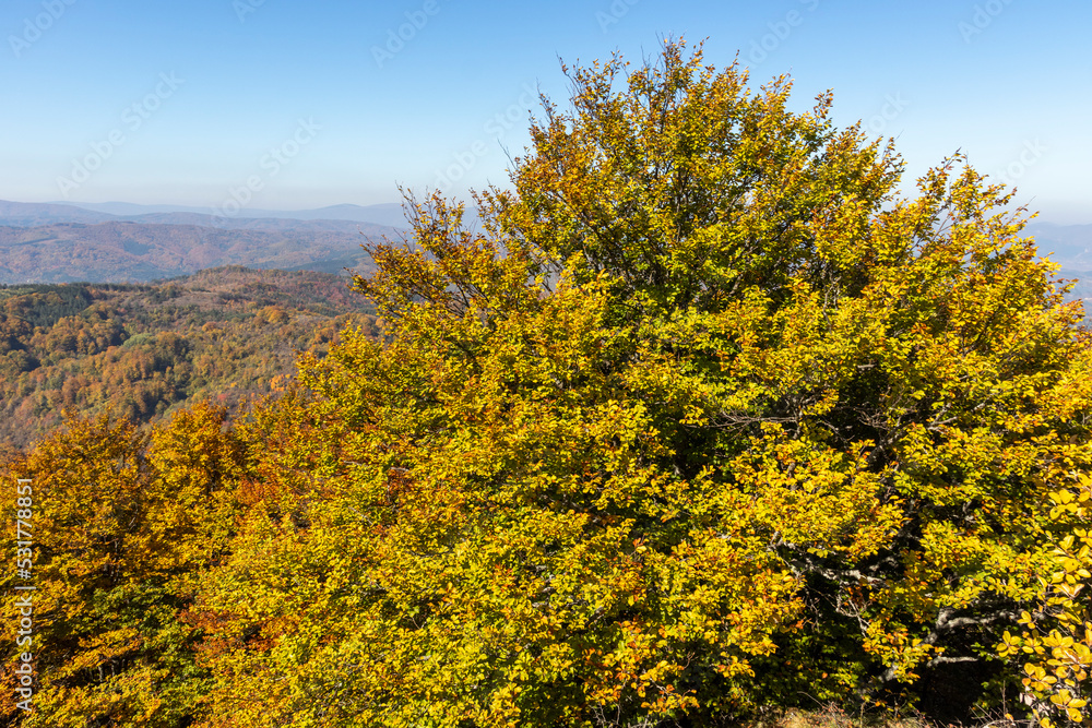 Fototapeta premium Amazing Autumn Landscape of Erul mountain, Bulgaria