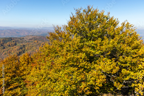 Amazing Autumn Landscape of Erul mountain  Bulgaria