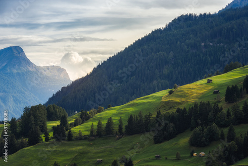 Cloudy sunset on grass and woods at Fiss (Tirol) in the Austrian Alps