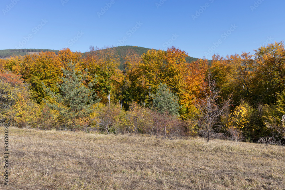 Amazing Autumn Landscape of Erul mountain, Bulgaria